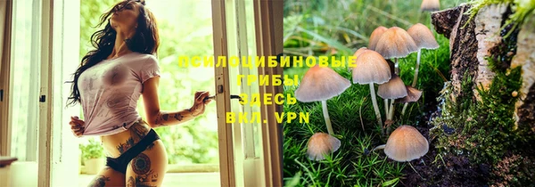 метадон Богородицк