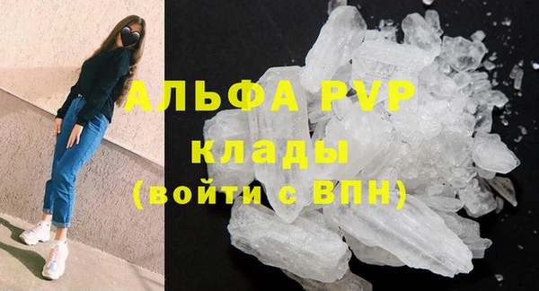 таблы Бородино